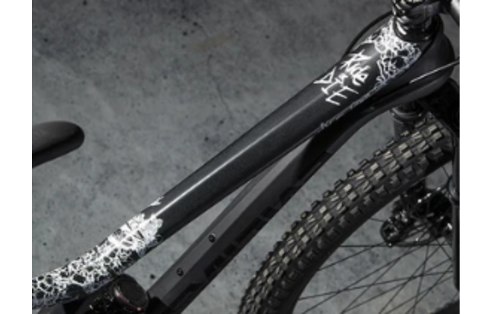 Frame Protection