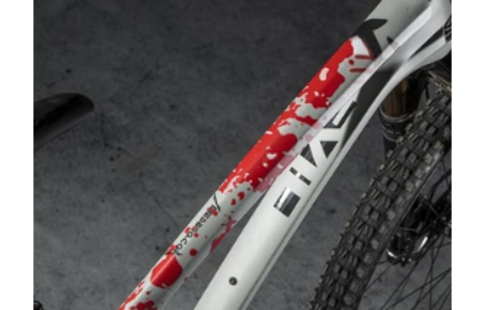 Frame Protection