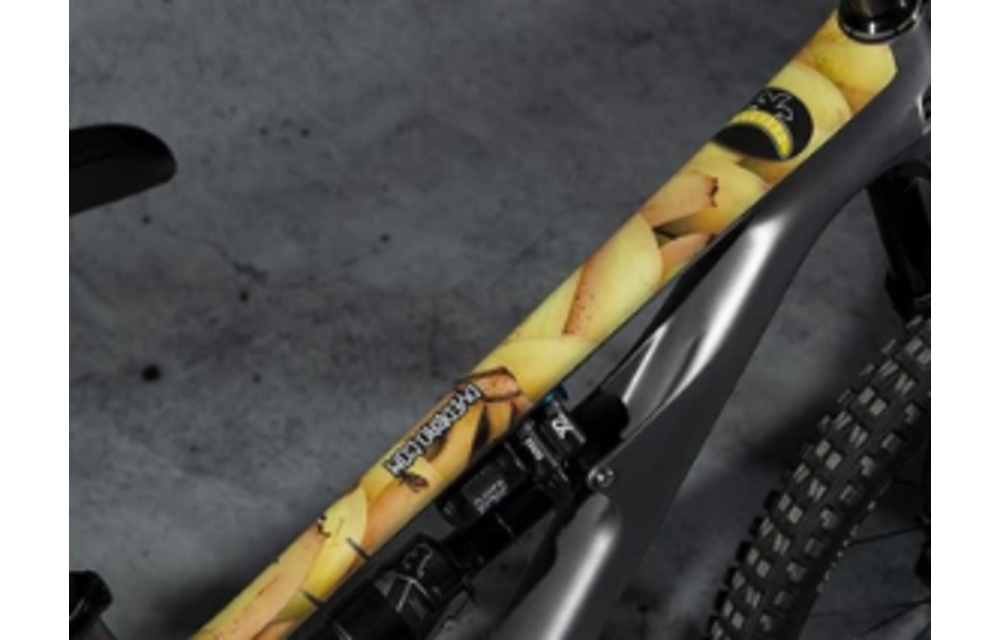 Frame Protection