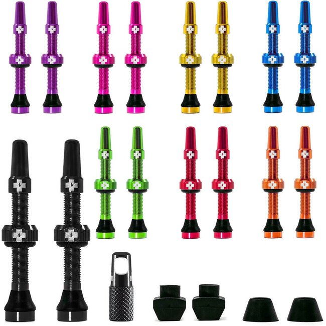 Salsa Tubeless Valves