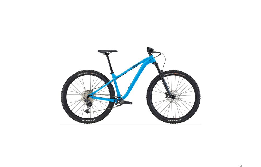 Honzo DL 2022