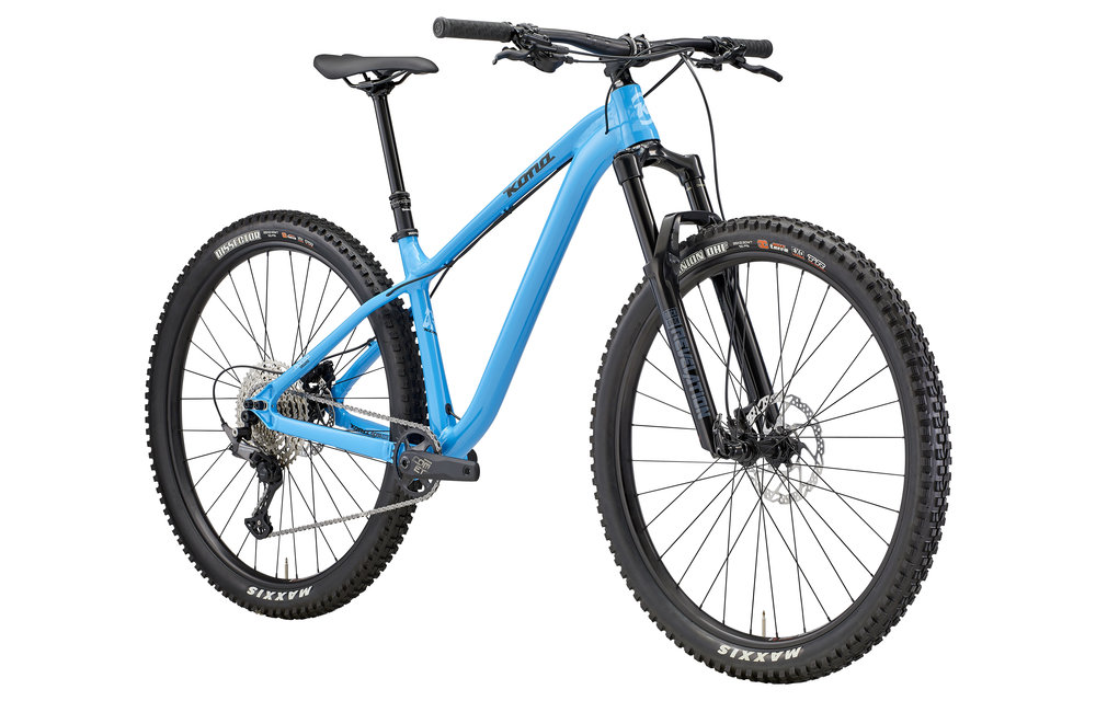 Honzo DL 2022