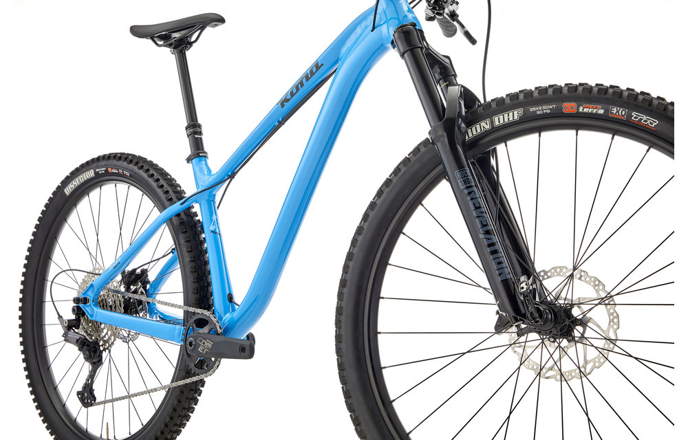 Honzo DL 2022