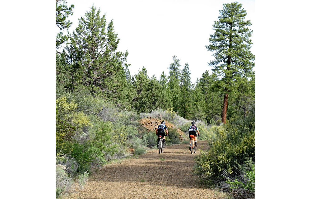 650B x 48 Switchback Hill TC Tire