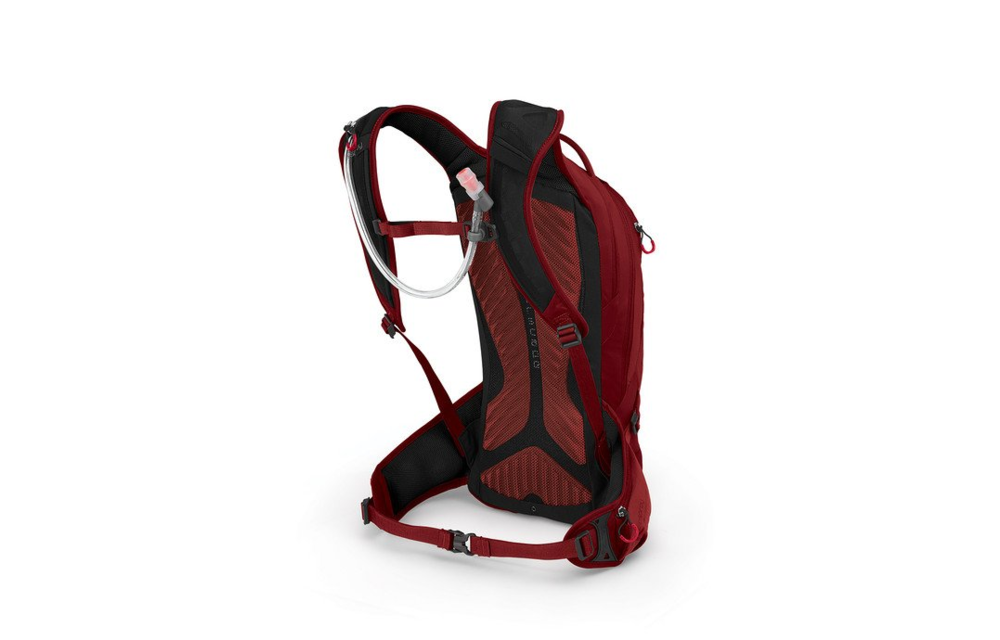 Osprey Raptor 10