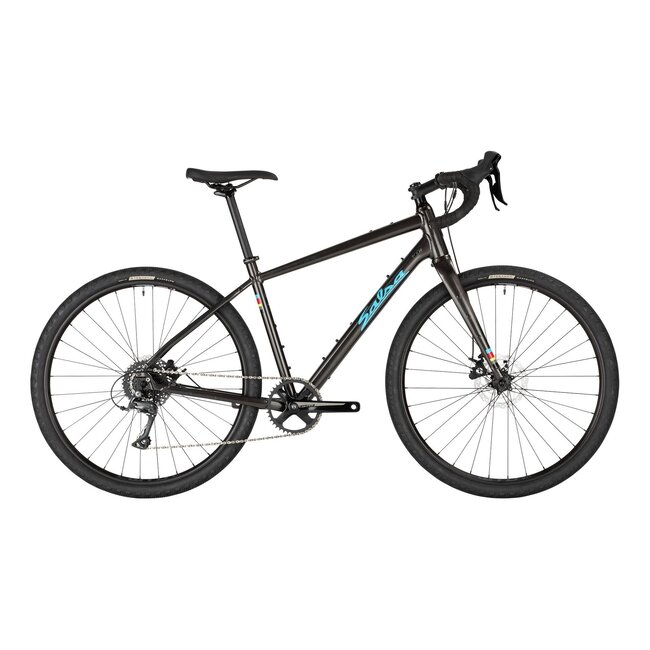 Salsa Journeyer Advent 650b