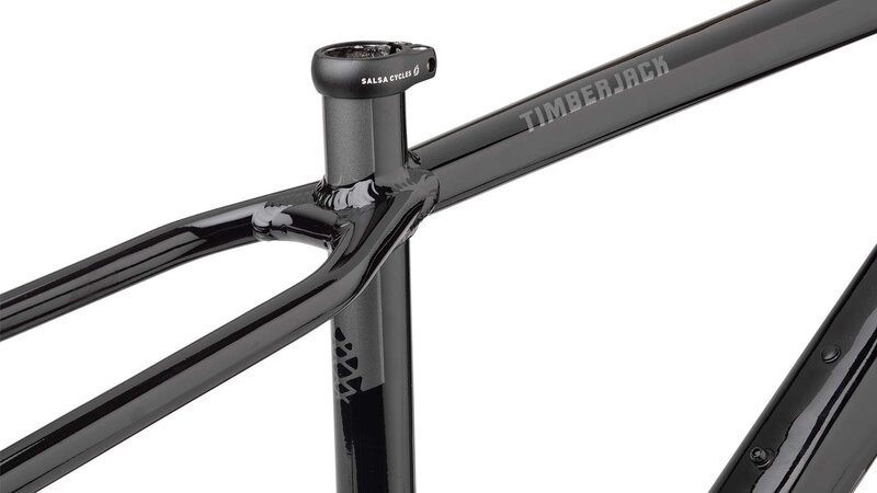 Salsa Timberjack Frame