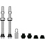 Tubeless Valves v2