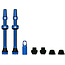 Tubeless Valves v2