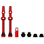 Tubeless Valves v2