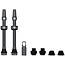 Tubeless Valves v2