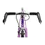 4130  Purple Reign  (Fixed Gear / Single-Speed)