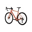 Salsa Warbird C GRX 820