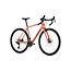 Salsa Warbird C GRX 820
