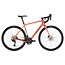 Salsa Warbird C GRX 820