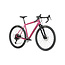 Salsa Stormchaser Apex Eagle SUS