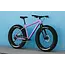 6061 Trail+ Fat Bike - Wildberry