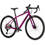 Salsa Journeyer GRX 610 700c