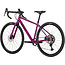Salsa Journeyer GRX 610 700c