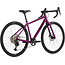 Salsa Journeyer GRX 610 700c