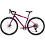 Salsa Journeyer GRX 610 700c