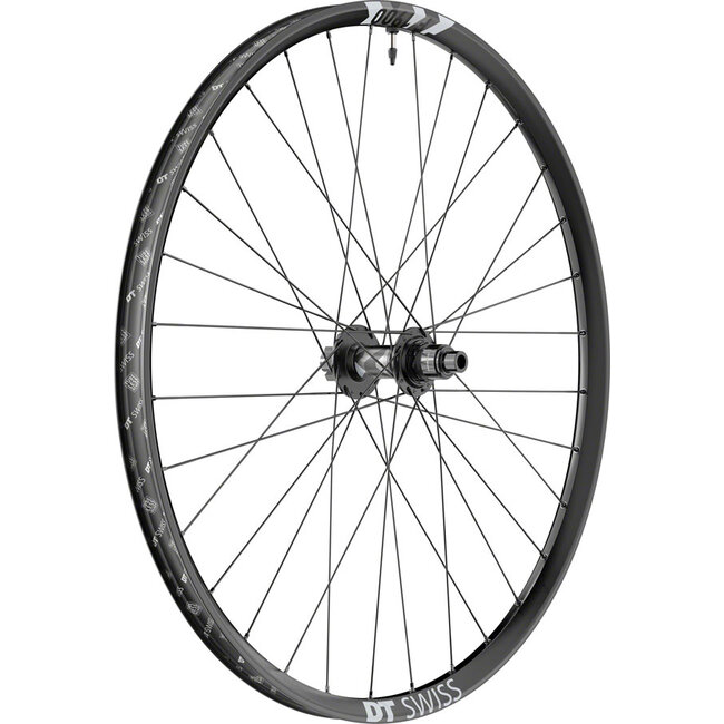 DT Swiss F 1900 Classic Rear Wheel, 29", 12x157 Boost, XD
