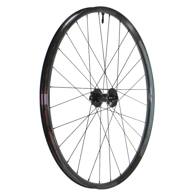 Aeffect-R 29" Front Wheel, 15x110 Boost, Black