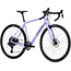 Salsa Warbird C Rival GX AXS