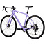 Salsa Warbird C Rival GX AXS