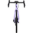 Salsa Warbird C Rival GX AXS