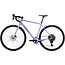 Salsa Warbird C Rival GX AXS