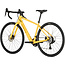 Salsa Confluence GRX 600 2x