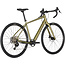 Salsa Confluence Apex 1