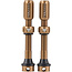 Teravail Tubeless Valves