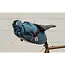 Roadrunner Bags Sleeper Bikepacking Saddle Bag