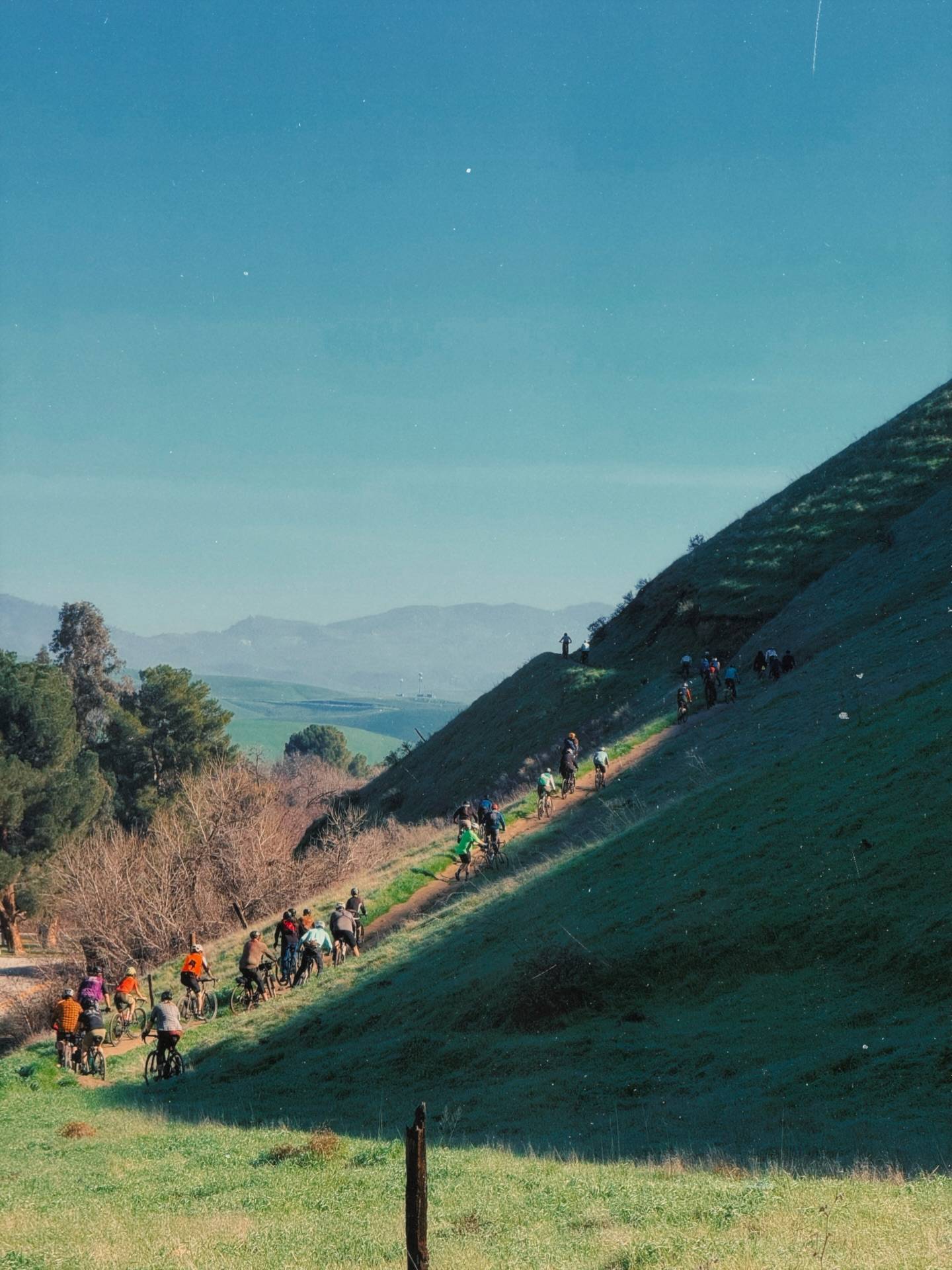 Why Bakersfield Rides With Grizzly