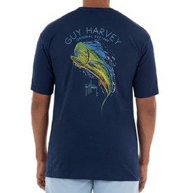 Guy Harvey Beach To Boulevard