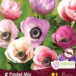 Van Noort Anemone Carmel - Pastel Mix 5/Pkg
