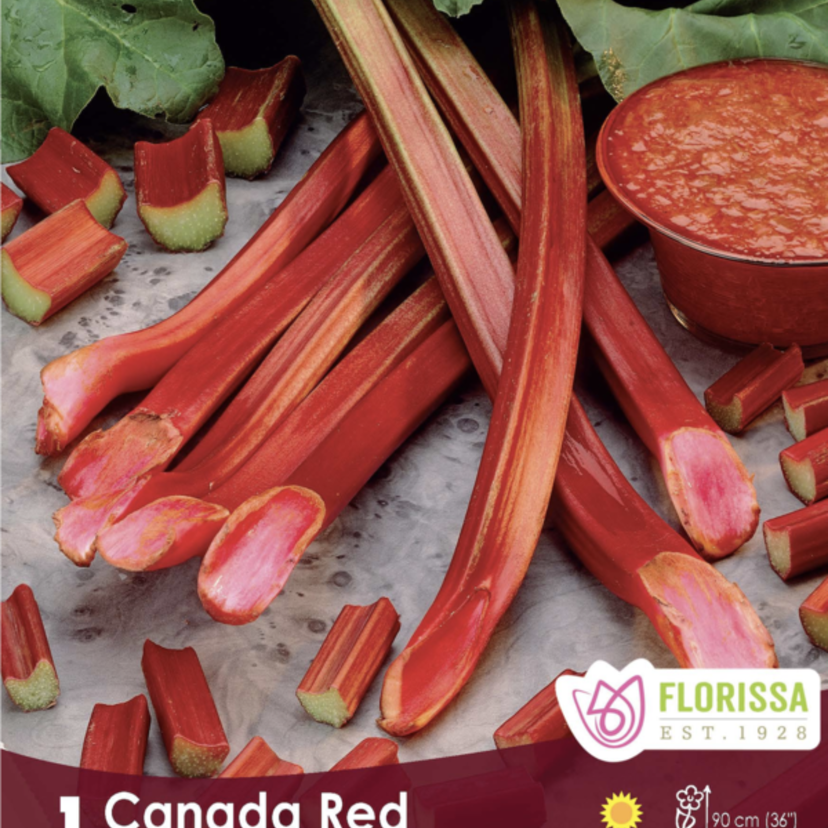 Van Noort Rhubarb - Canada Red Bulk