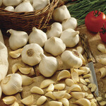 Van Noort Garlic "White" Each