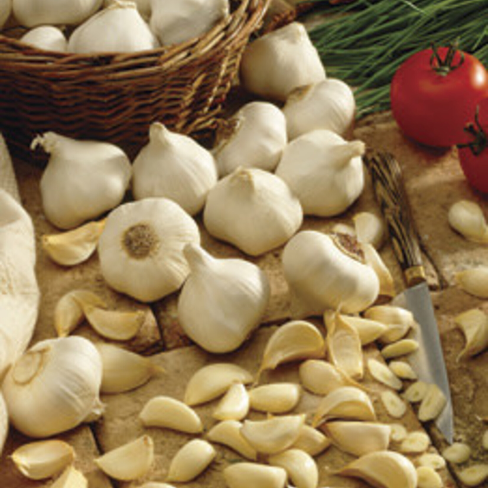 Van Noort Garlic "White" Each