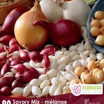 Van Noort Onion Sets - Mixed (Red-White-Yellow) 80/Pkg