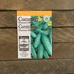 Aimers Cucumber 'Wisconsin' Organic Seeds