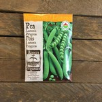 Aimers Pea 'Laxton Progress' Organic Seeds