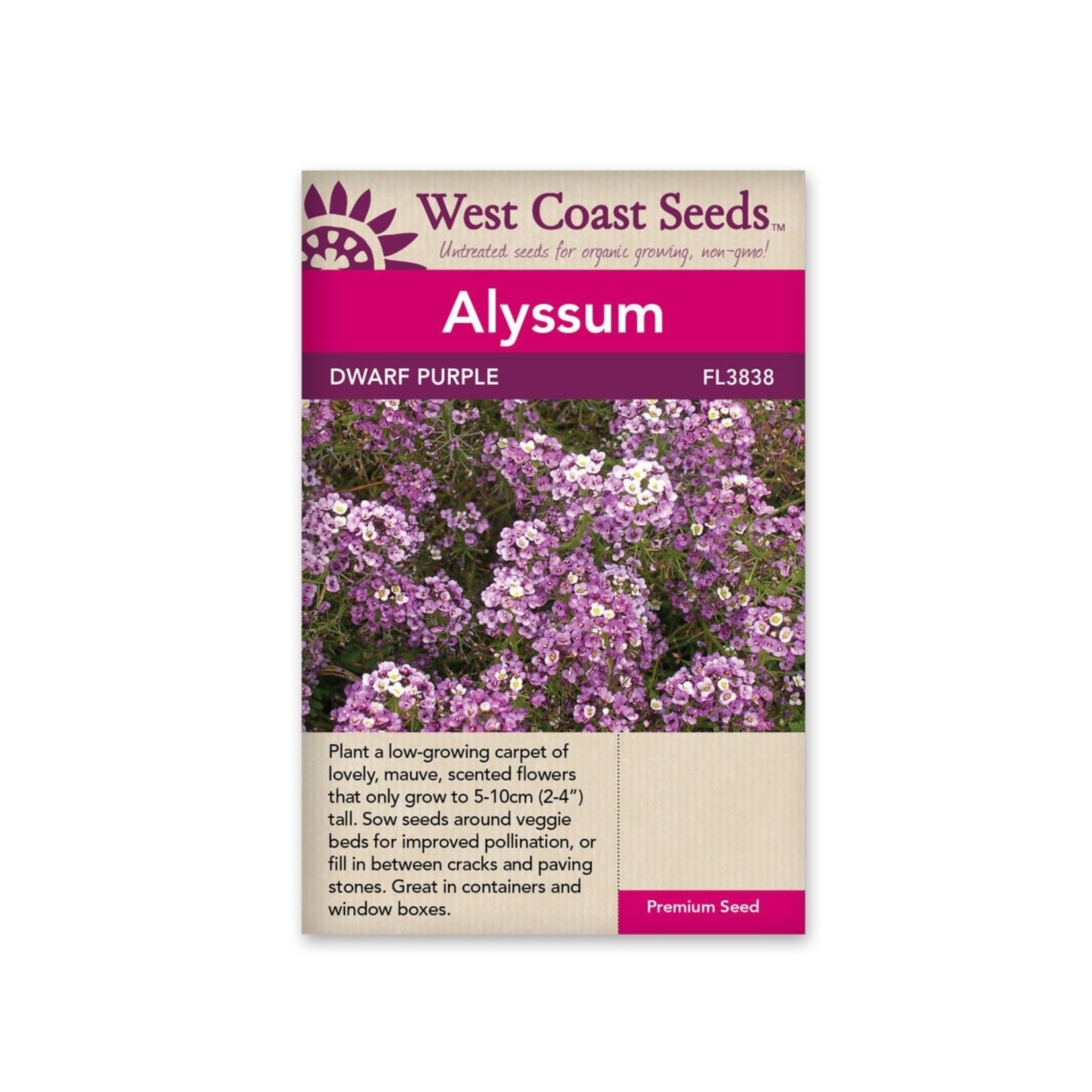 Westcoast Alyssum-Dwarf Purple