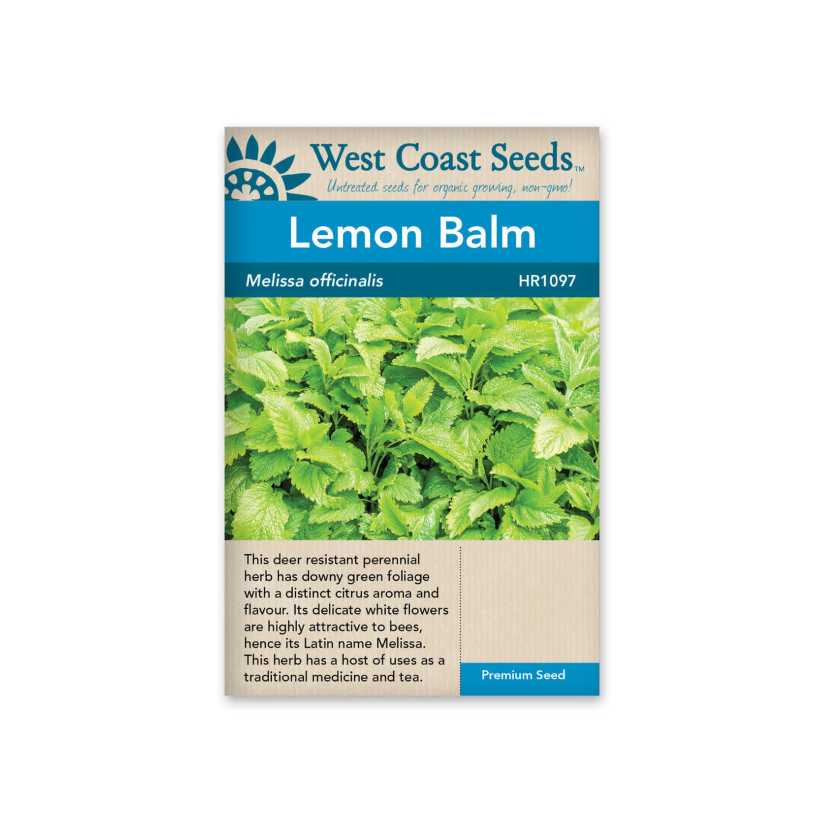 West Coast Seeds Lemon Balm - Lemon Balm