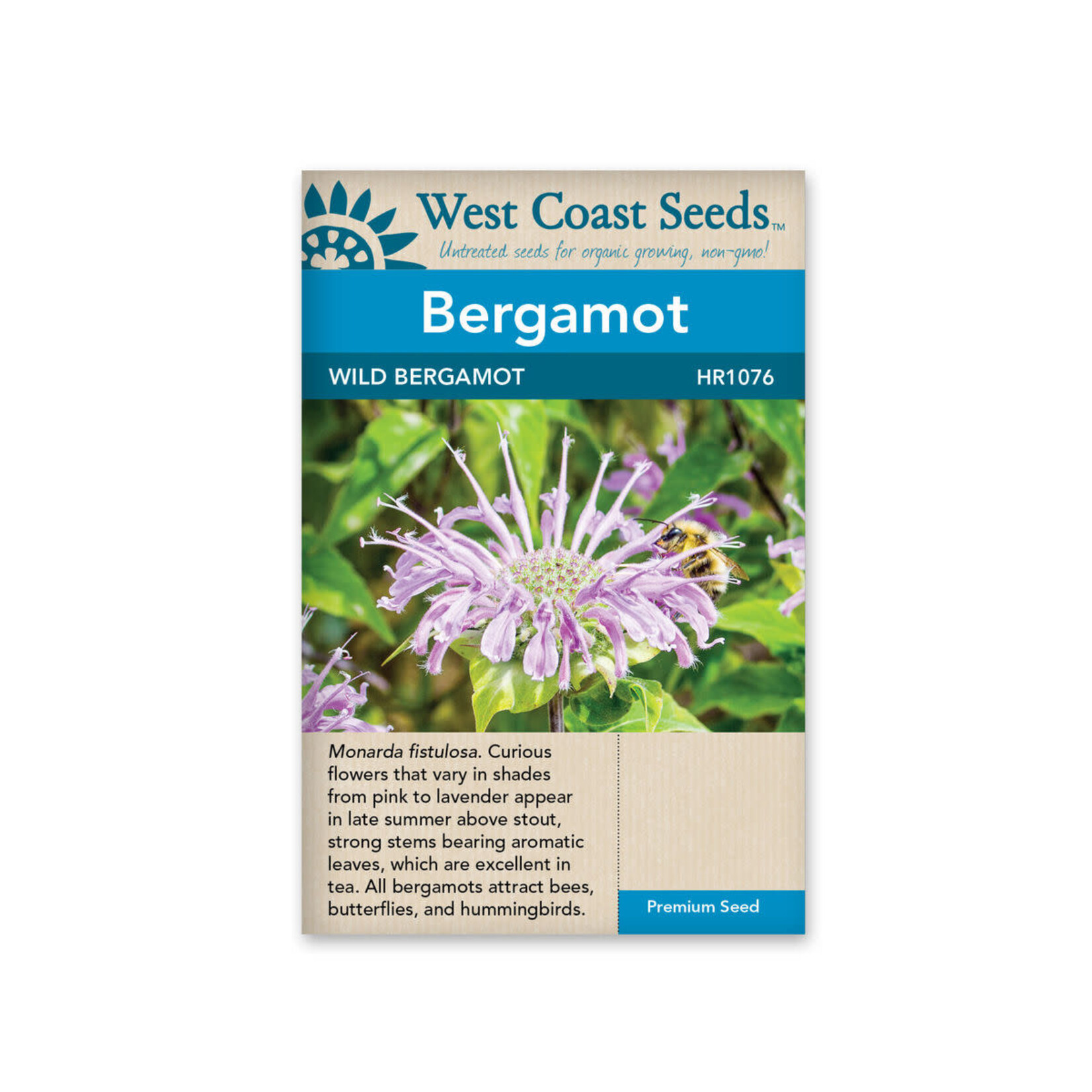 West Coast Seeds Bergamot - Wild Bergamot