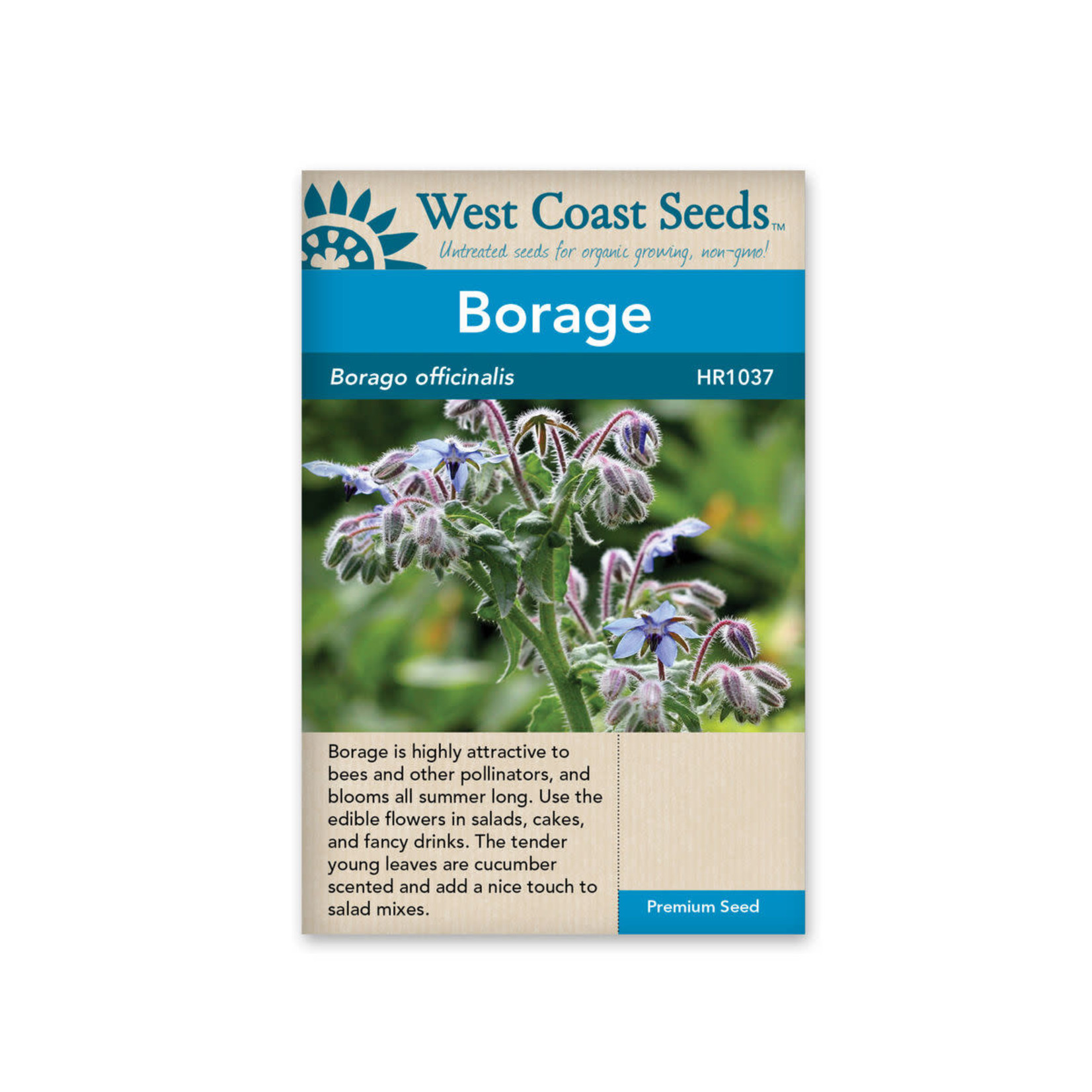 West Coast Seeds Borage - Borage