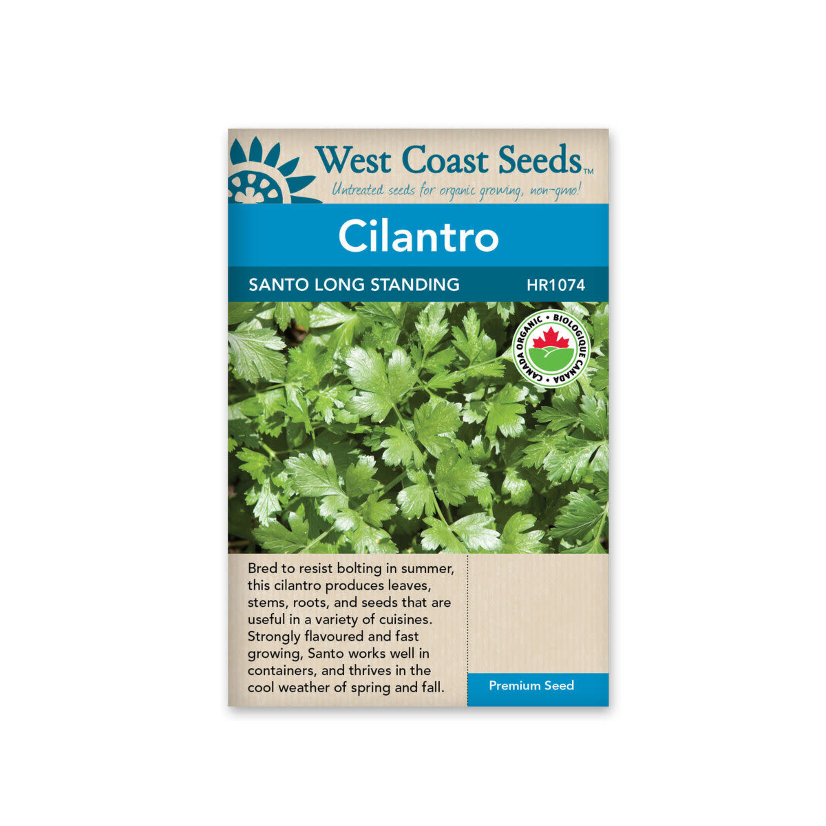 West Coast Seeds Cilantro-Santo Certified Organic