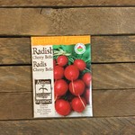 Aimers Radish ' Cherry Belle' Organic Seeds